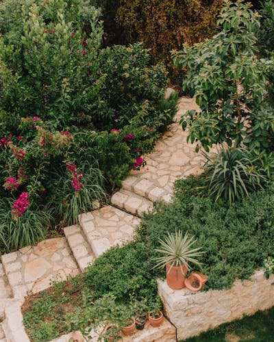 Chemin fleuri en pierre avec massifs de fleurs