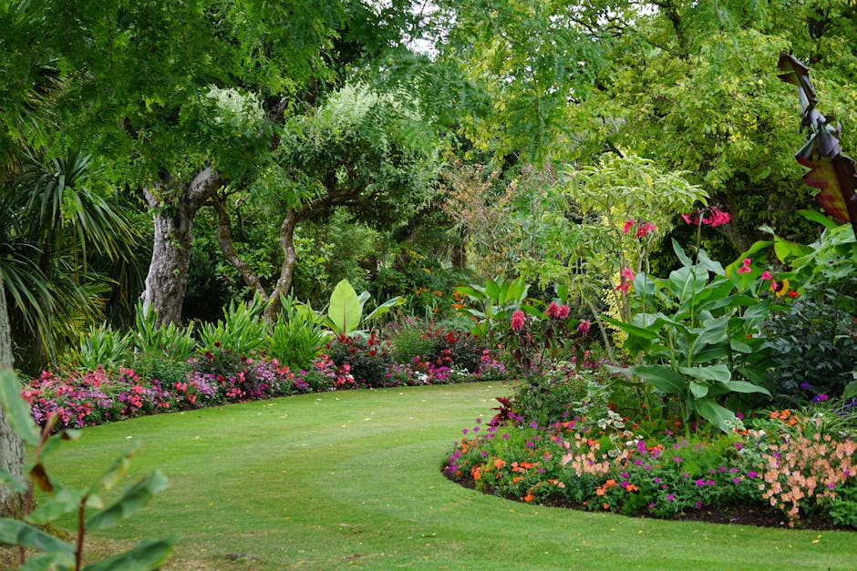 Jardin contemporain avec allée en pierre naturelle