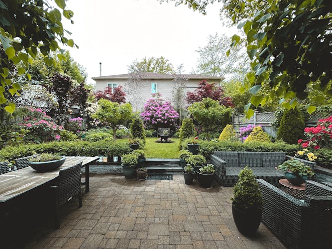 Bassin naturel avec plantes aquatiques