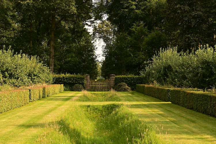 Jardin à la française avec haies taillées