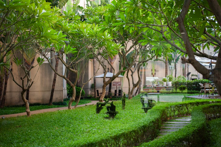 Allée arborée dans grand jardin privé